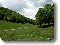 Scorcio del bosco nel Parco dei Monti Simbruini (Parchi Lazio)