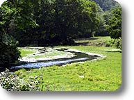 Scorcio del Parco Regionale di Veio